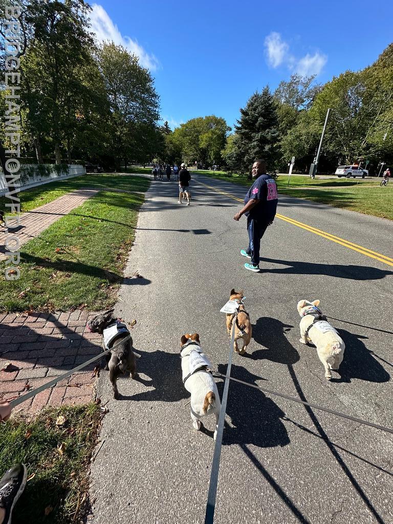 ARF Hamptons’ - Stroll to the Sea. 